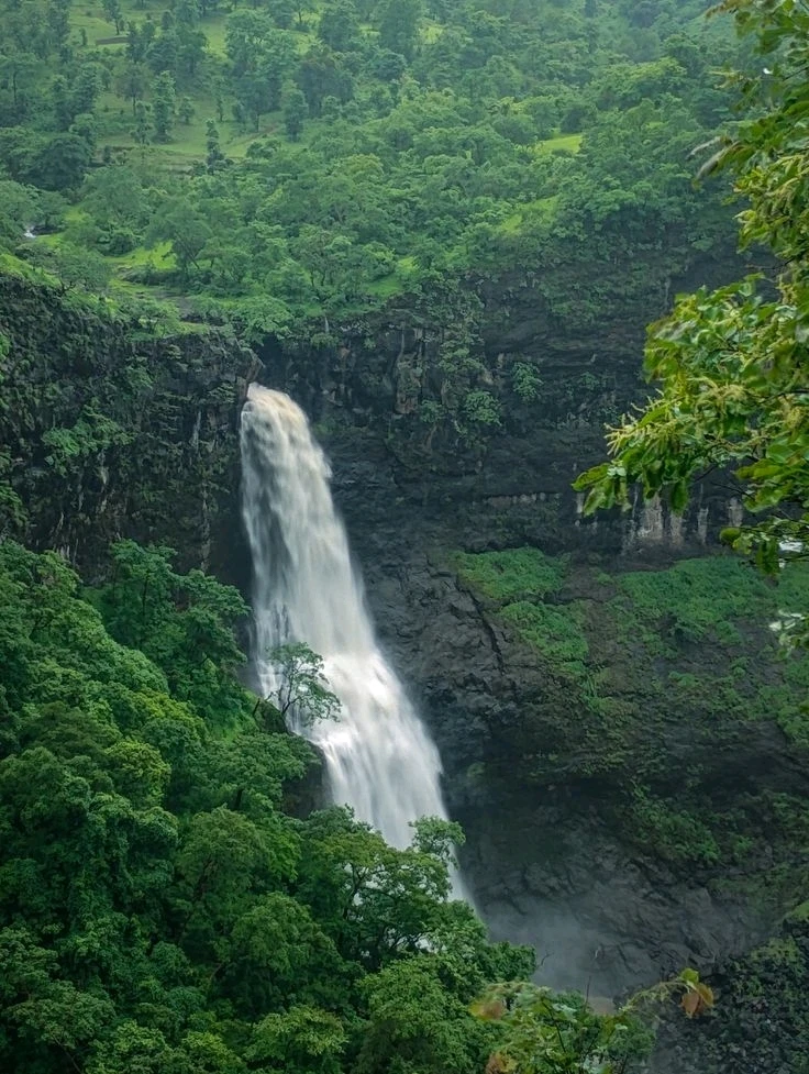 Image uploaded by Yash