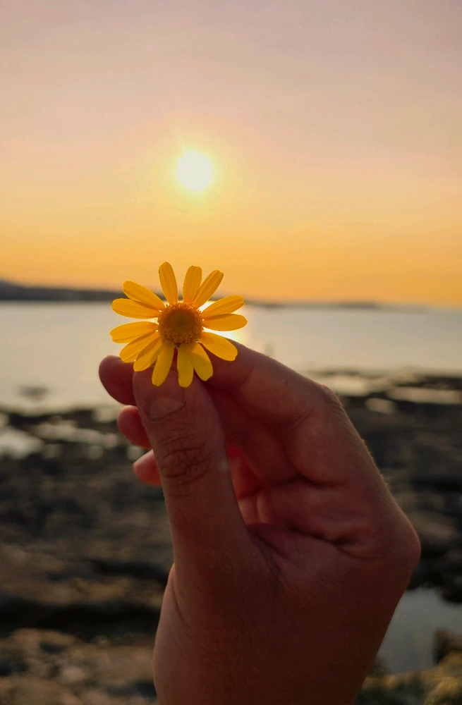 GIF uploaded by Kostas