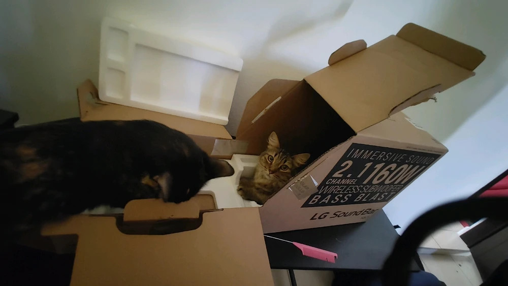 GIF uploaded by ❤ Sophia aka Mango Mami ❤️