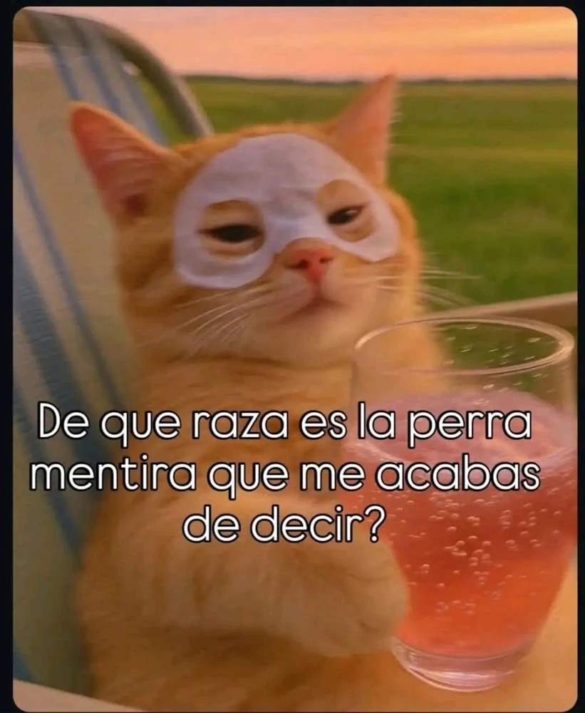 GIF subido por ❤ Sophia aka Mango Mami ❤️