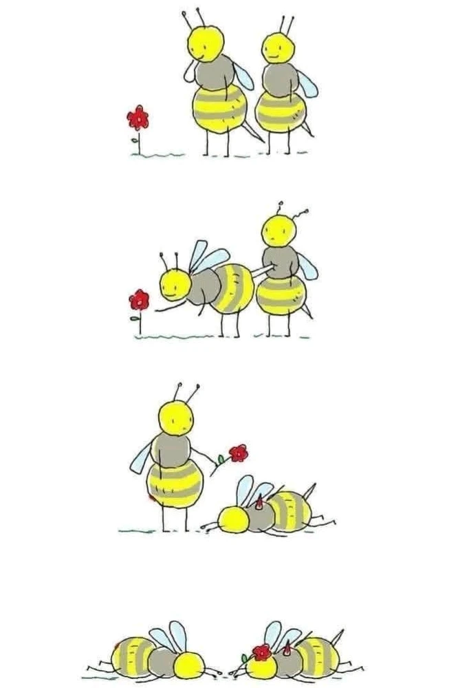 GIF hochgeladen von Anne (aka Kuschelbuubu - zeig mal etwas Respekt!!)