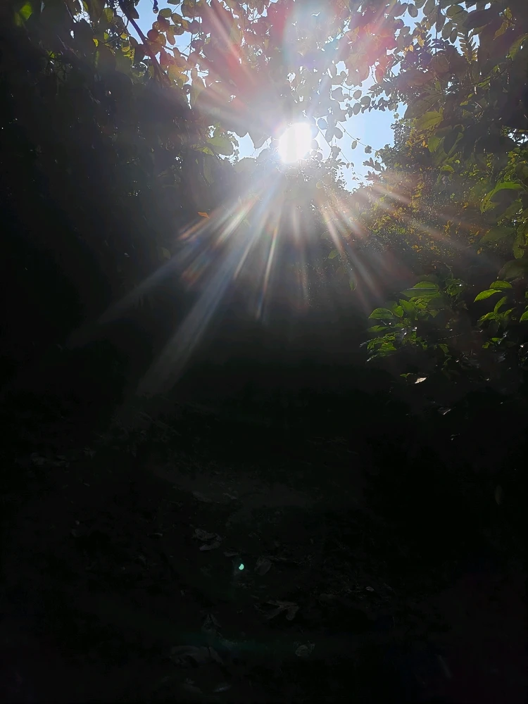 GIF diunggah dening joe