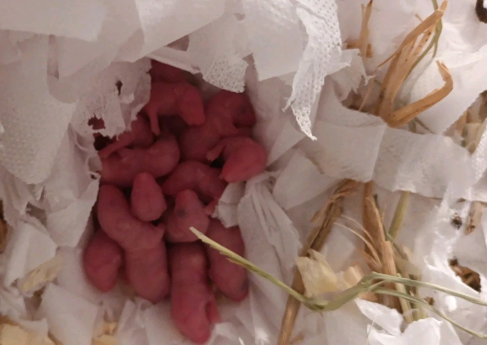 GIF enviado por Yumi