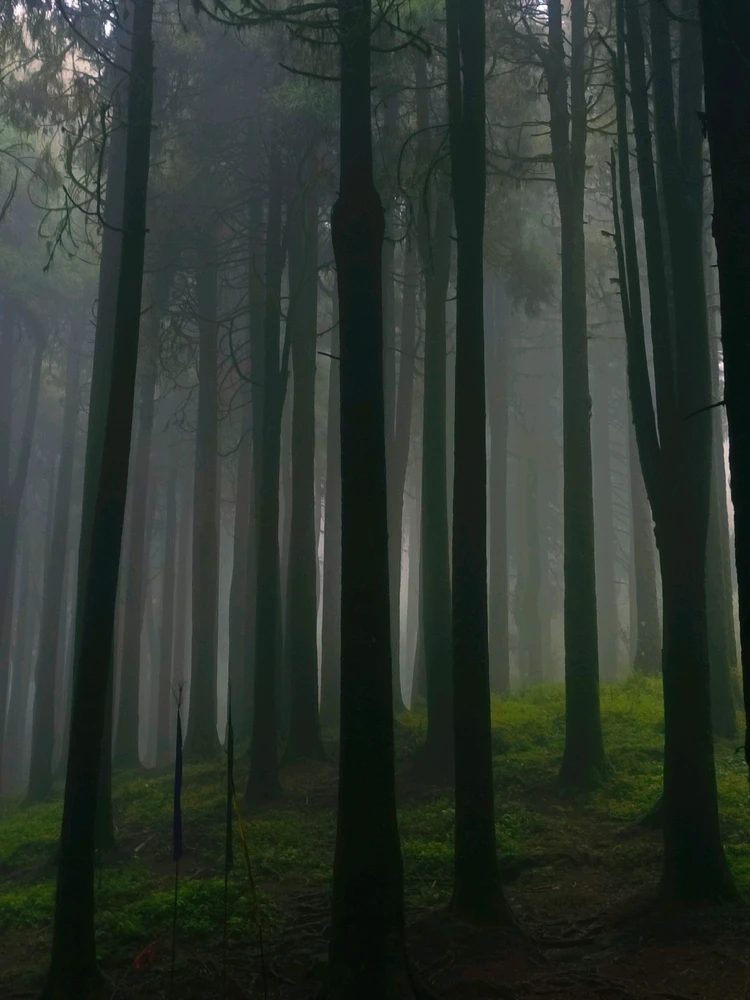 GIF uploaded by Roushan arya