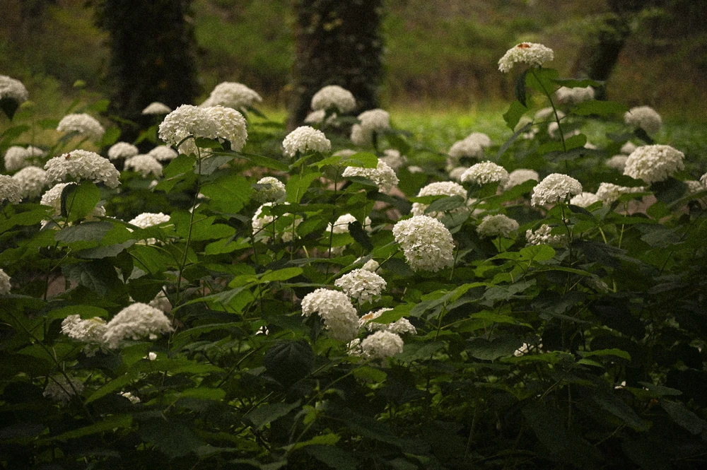 GIF uploaded by Rufus