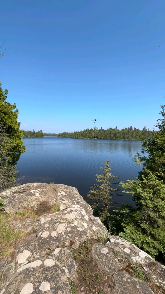 Image uploaded by Nate