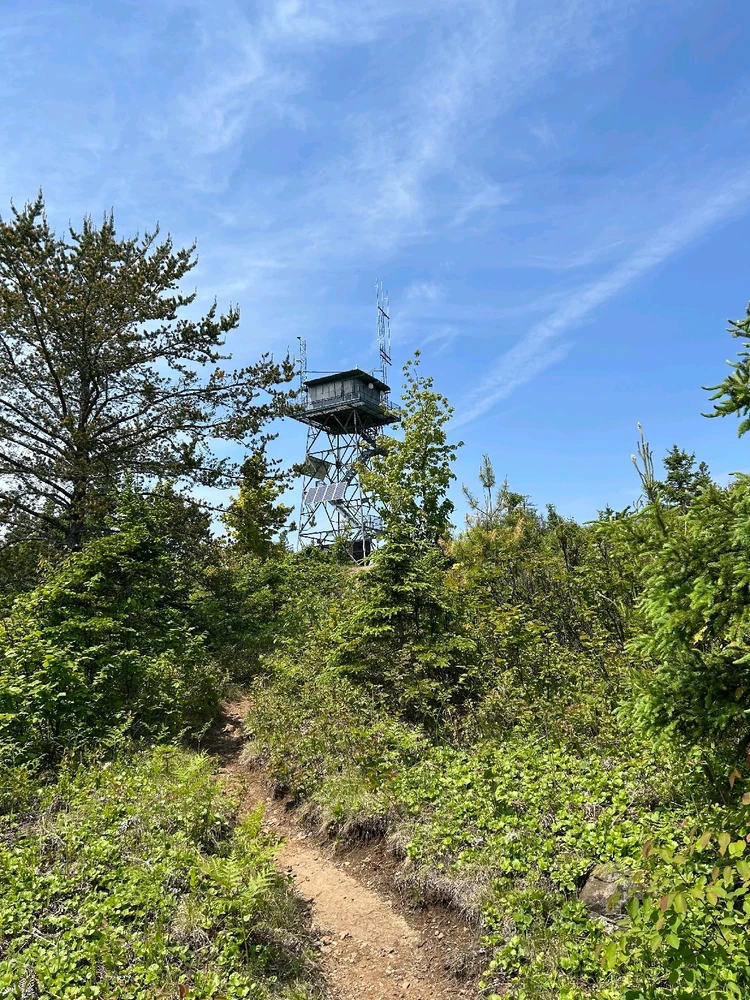 Image uploaded by Nate