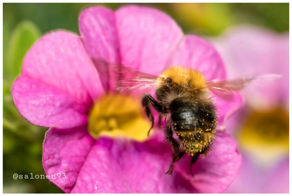 Imagen subida por Blanca