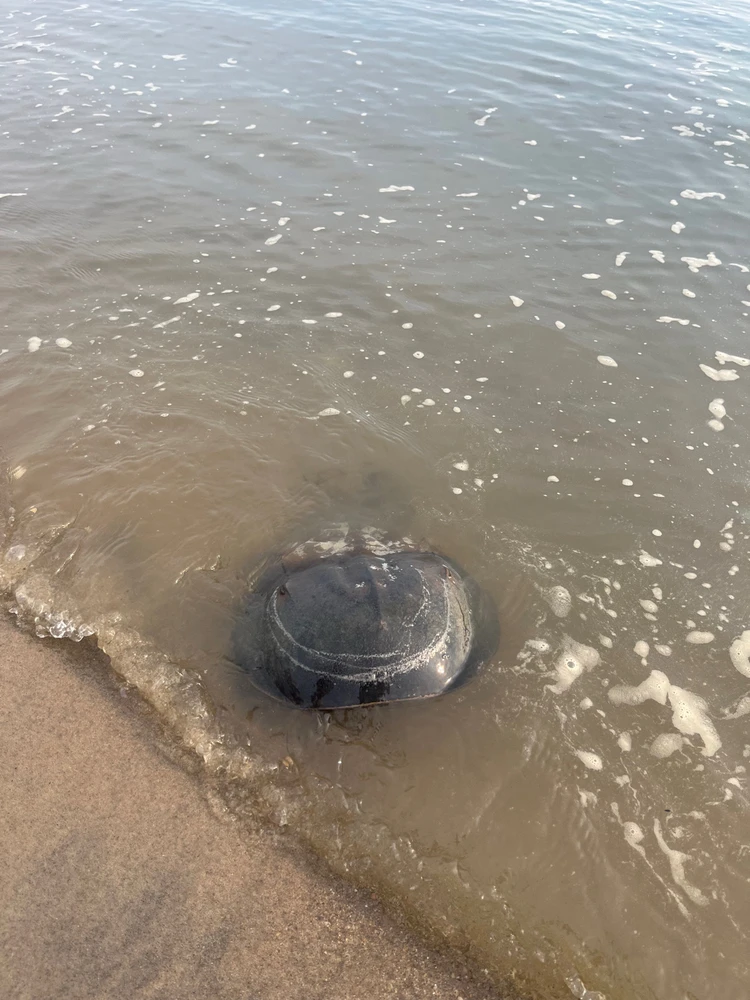 GIF diunggah dening Danny