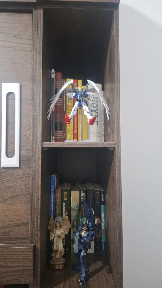 Imagem enviada por Rafael