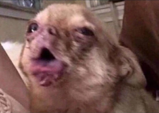 GIF uploaded by Colton