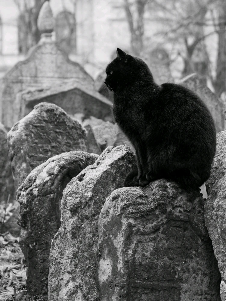 GIF hochgeladen von Michael