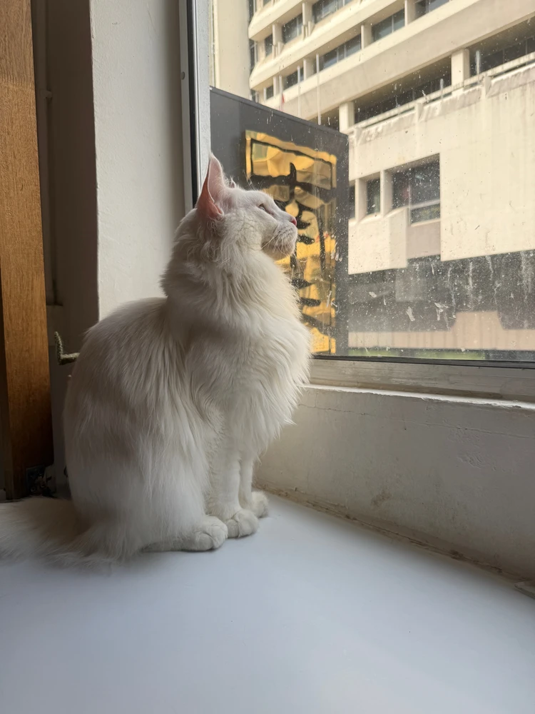 Image uploaded by The Frog