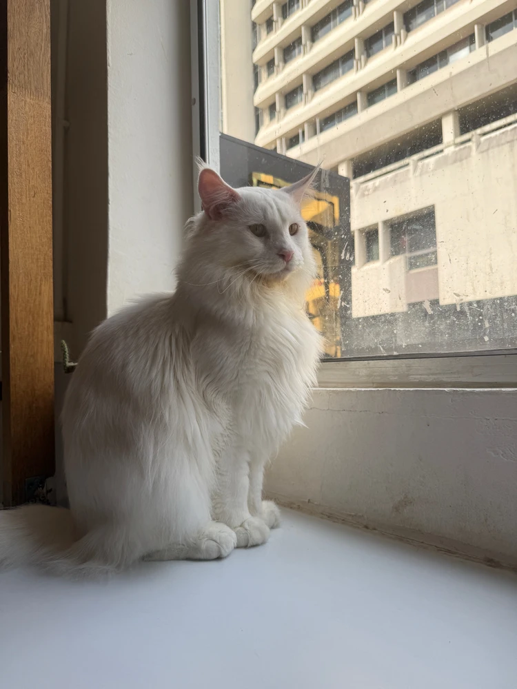 Image uploaded by The Frog