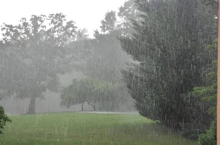 GIF uploaded by Cindy