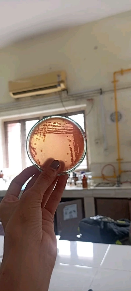 Image uploaded by Om Shah