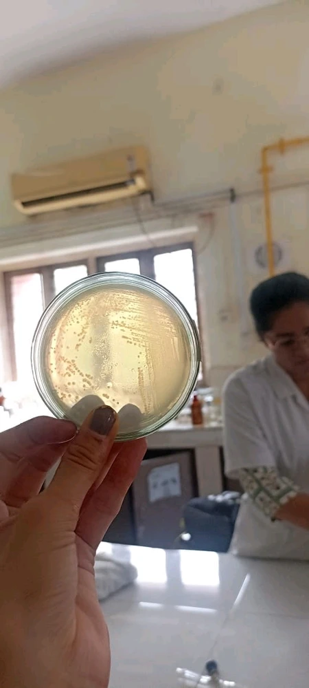 Image uploaded by Om Shah