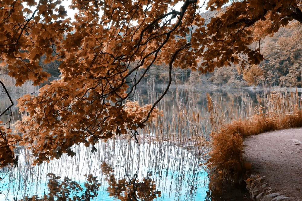 M 上傳的 GIF