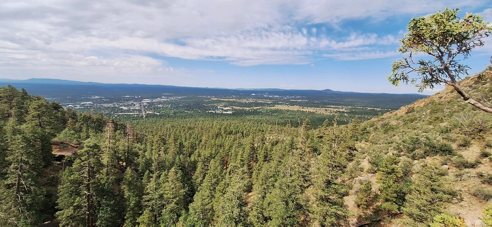 CollinがアップロードしたGIF