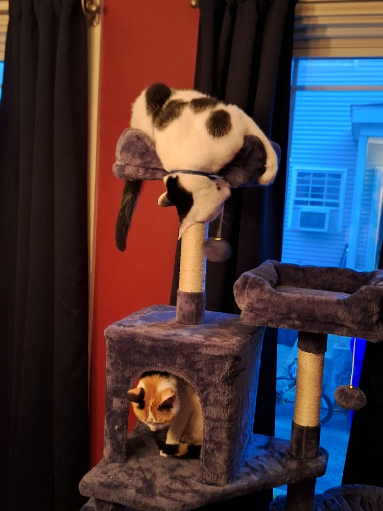 Image uploaded by Matt