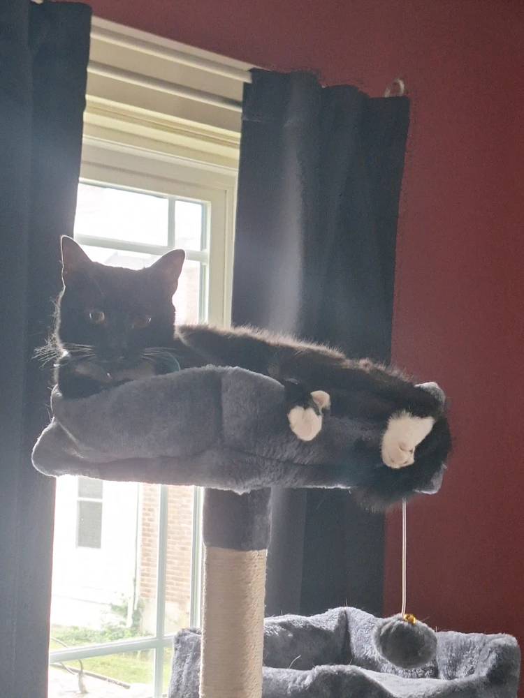 Image uploaded by Matt