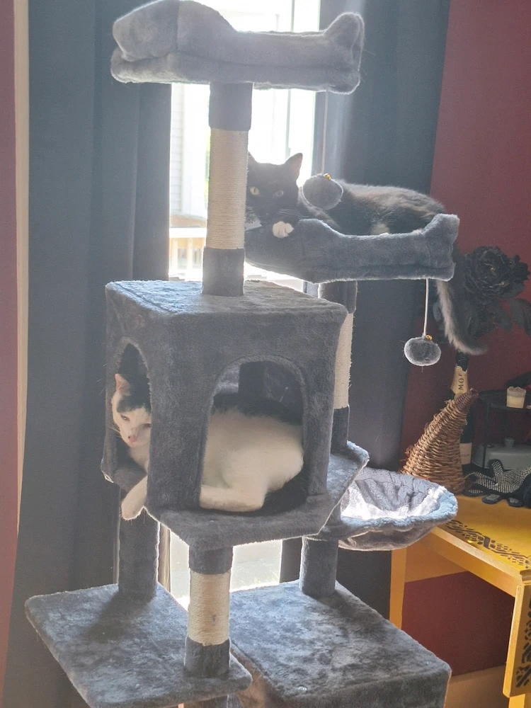 Image uploaded by Matt