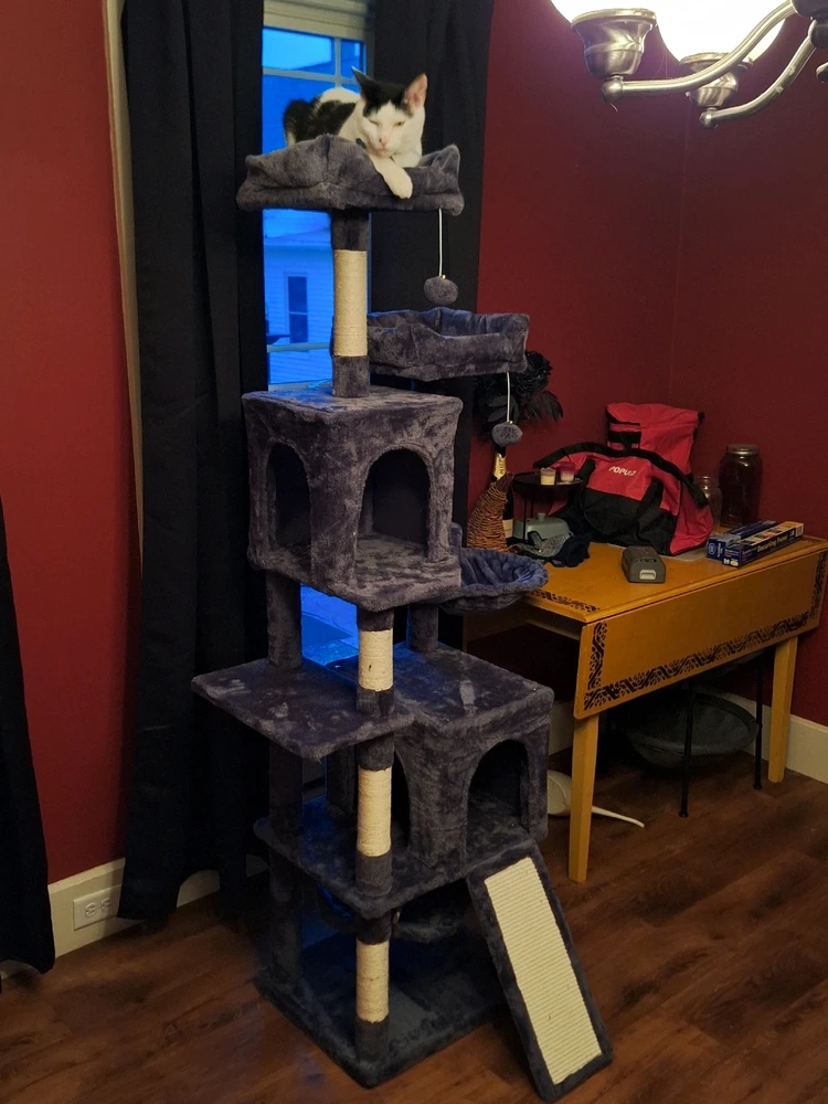 Image uploaded by Matt