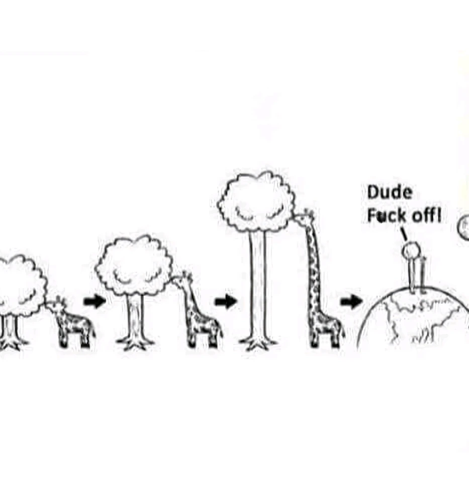 GIF hochgeladen von Doris