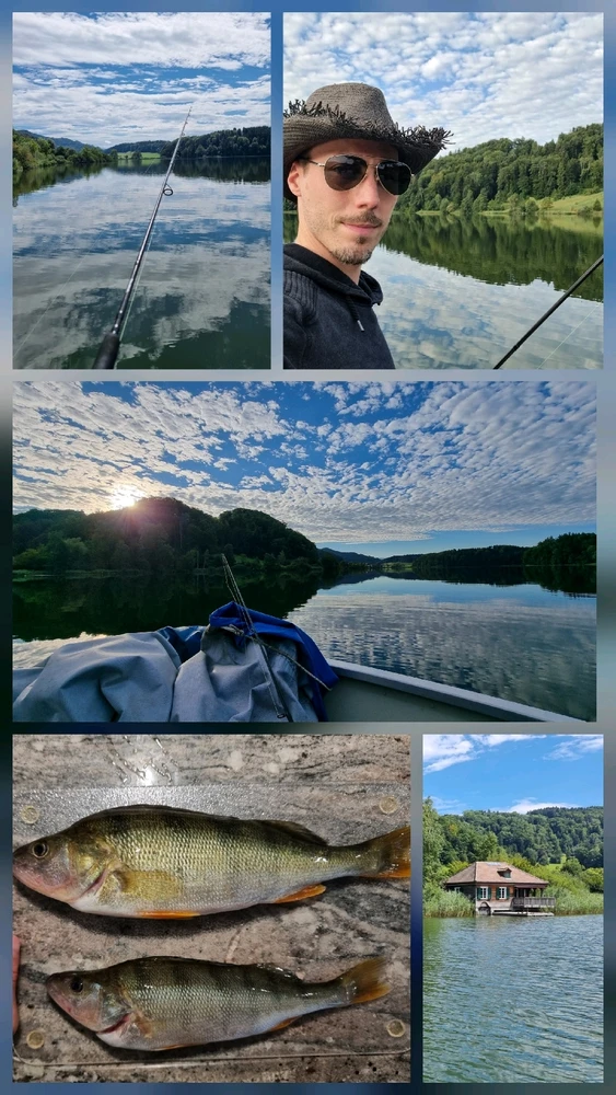 Bild hochgeladen von Michi