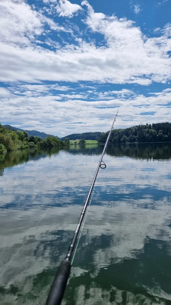 Bild hochgeladen von Michi