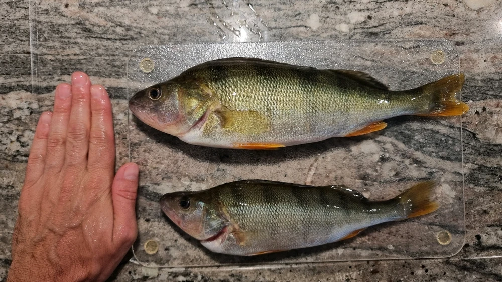 Bild hochgeladen von Michi