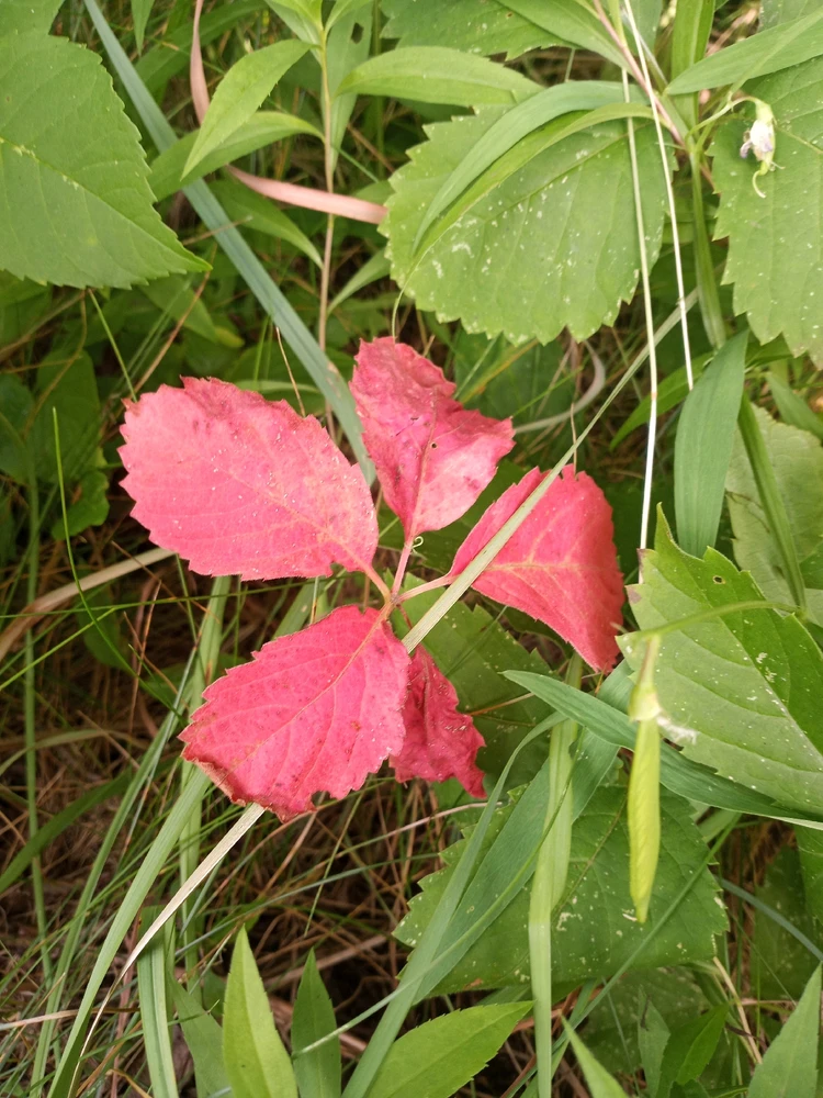 GIF uploaded by Zach