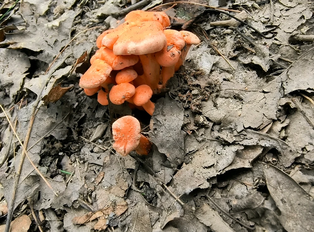 Image uploaded by Desiree