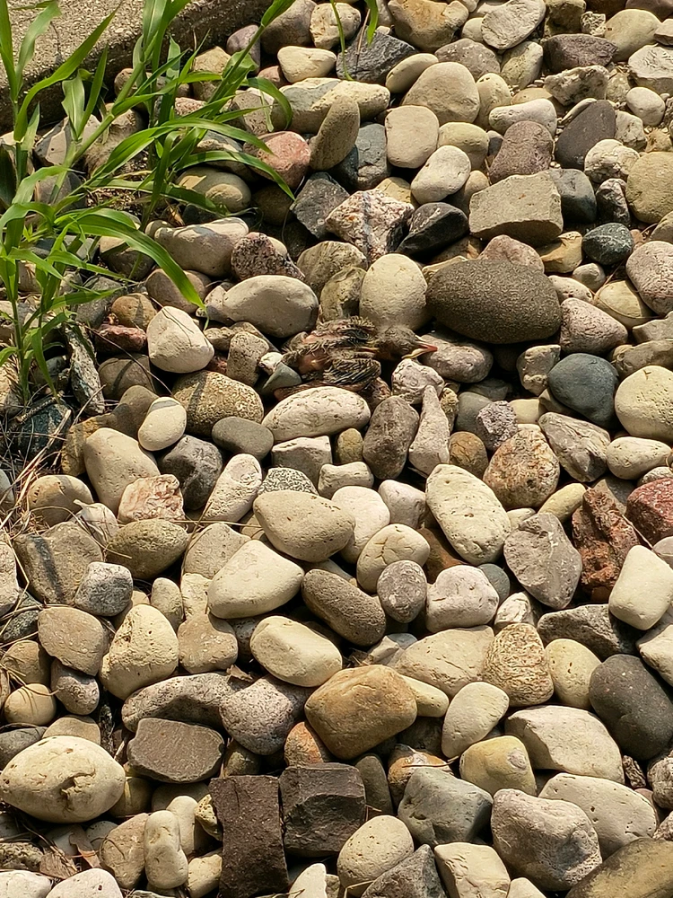 Image uploaded by Desiree