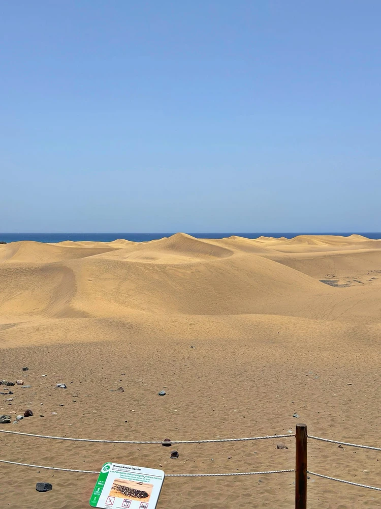 GIF uploaded by Cindy