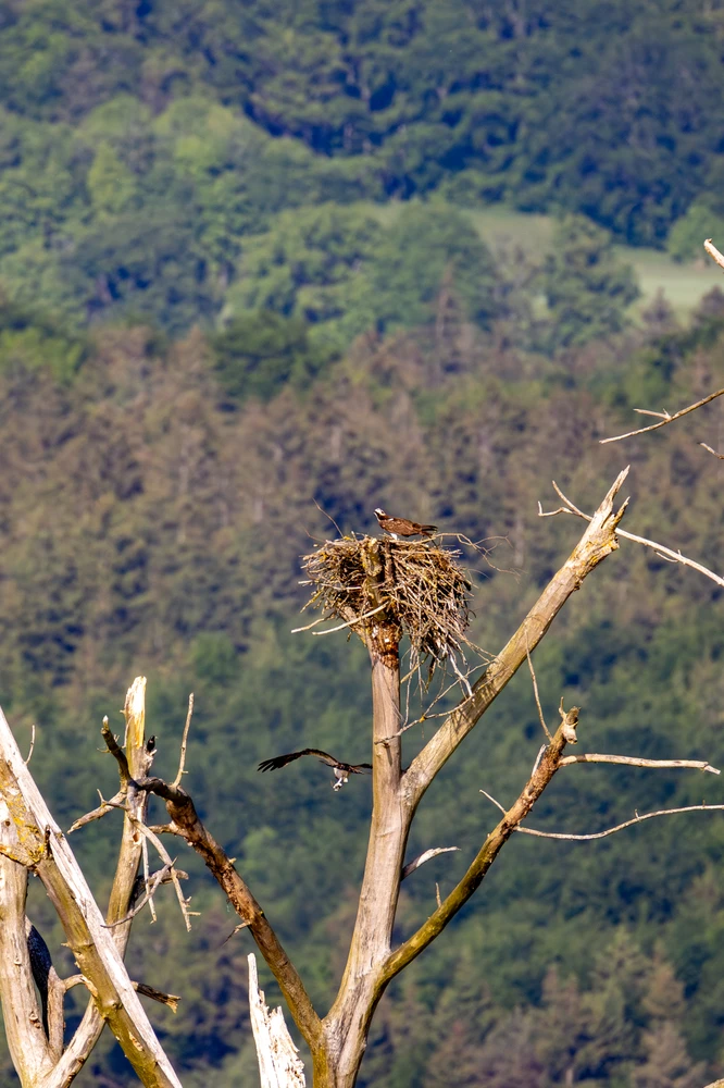 Bild hochgeladen von Joschi