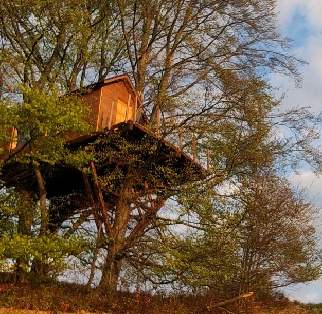 Fotku nahral/-a Avatarko