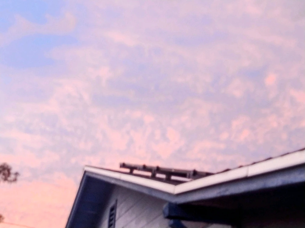 Image uploaded by Sage