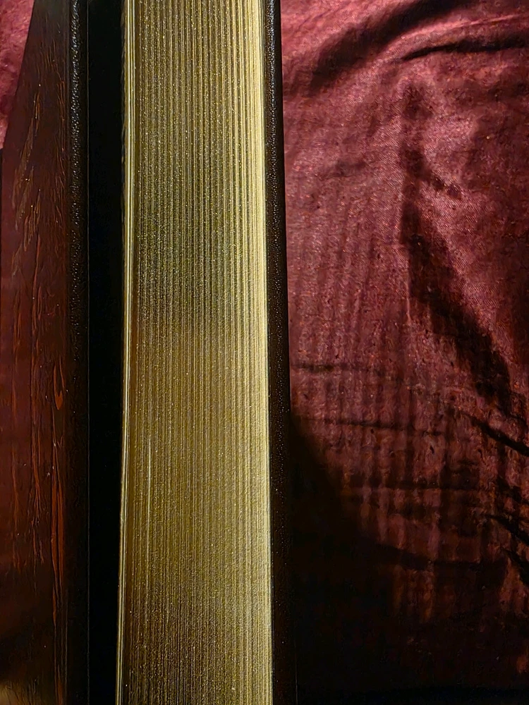 Image uploaded by Lexie