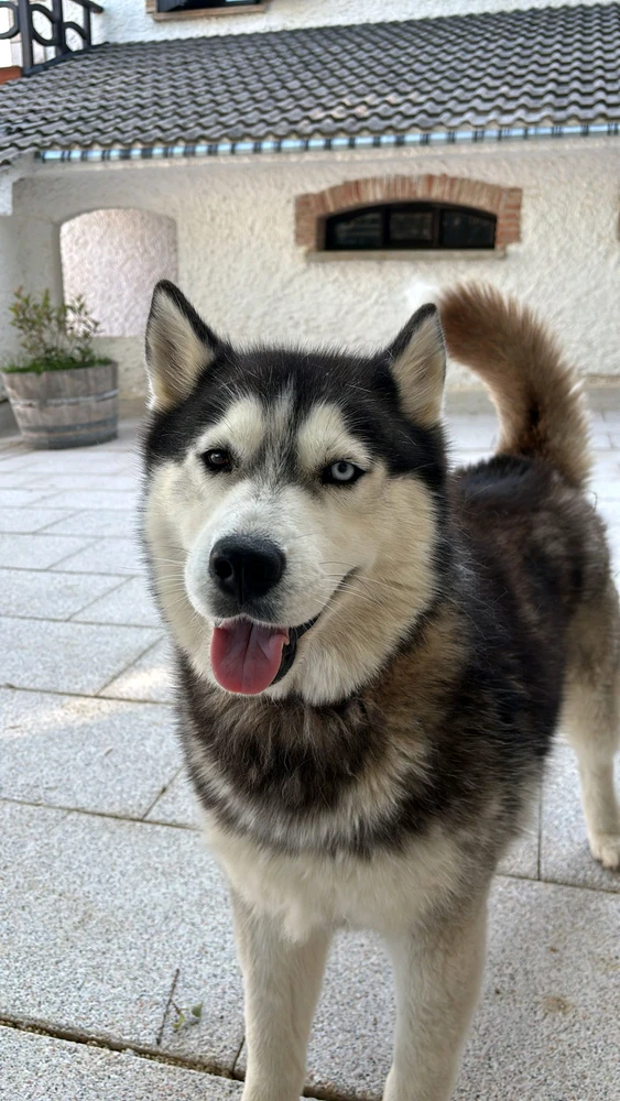 Imagen subida por Agustin