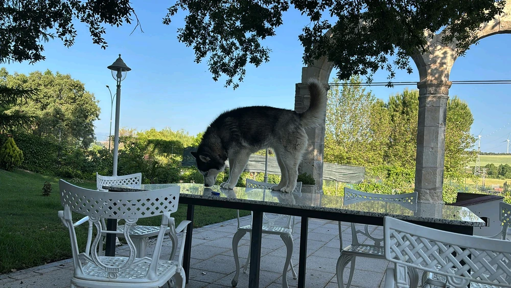 Imagen subida por Agustin