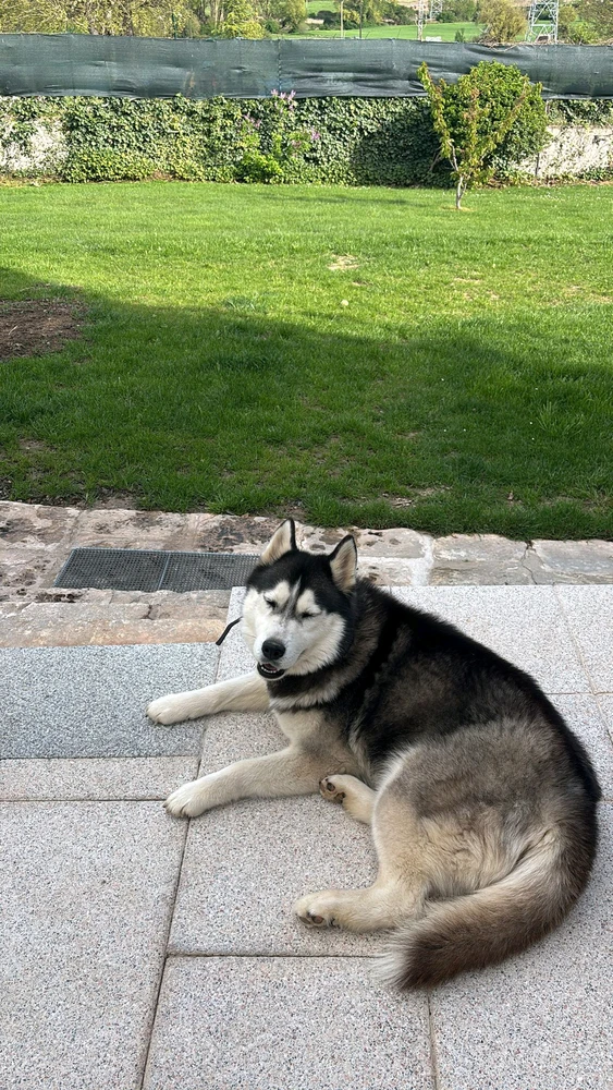 Imagen subida por Agustin