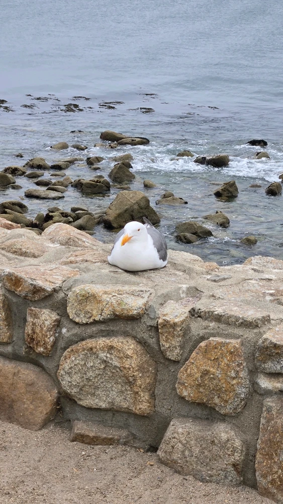 GIF uploaded by Mark