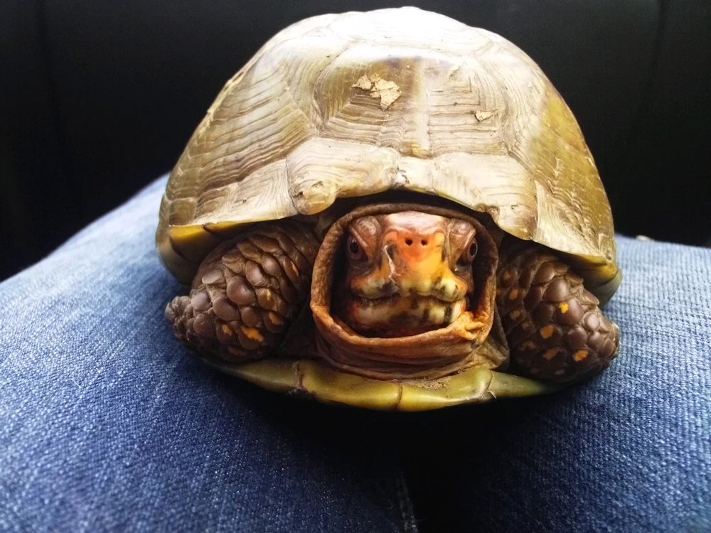 GIF diunggah dening Mallori