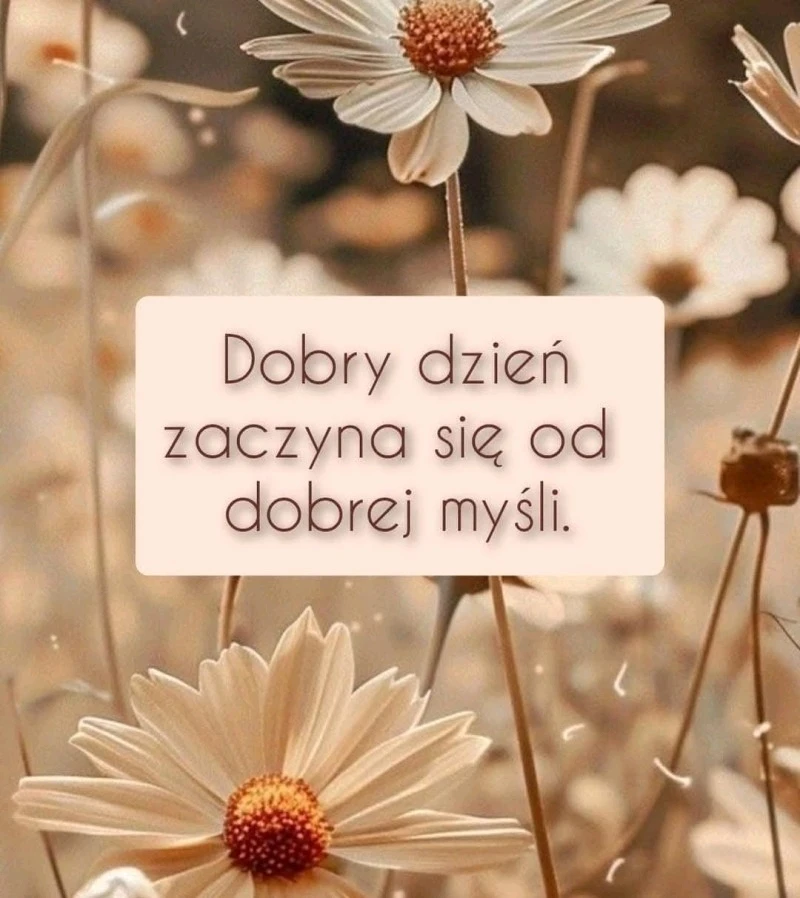 GIF dodany przez Alicja
