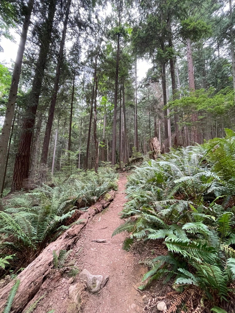 Imagen subida por Carlos