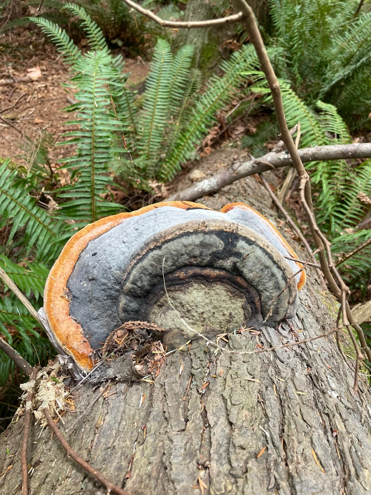 Imagen subida por Carlos