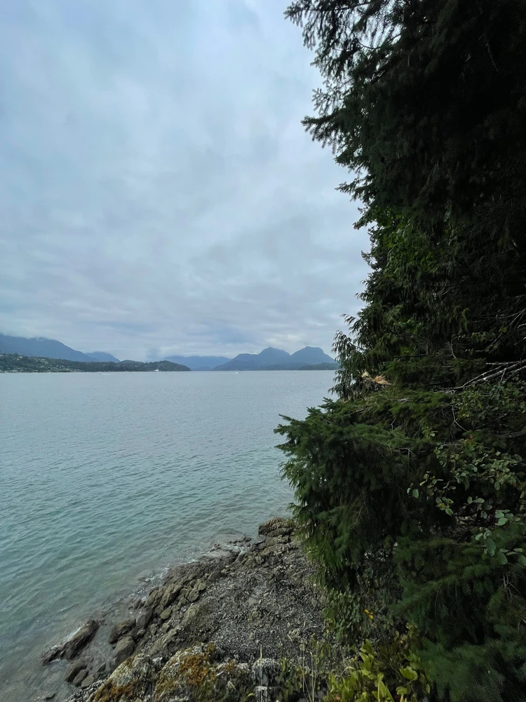 Imagen subida por Carlos