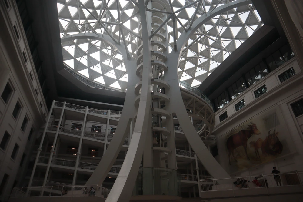 Image uploaded by Diane