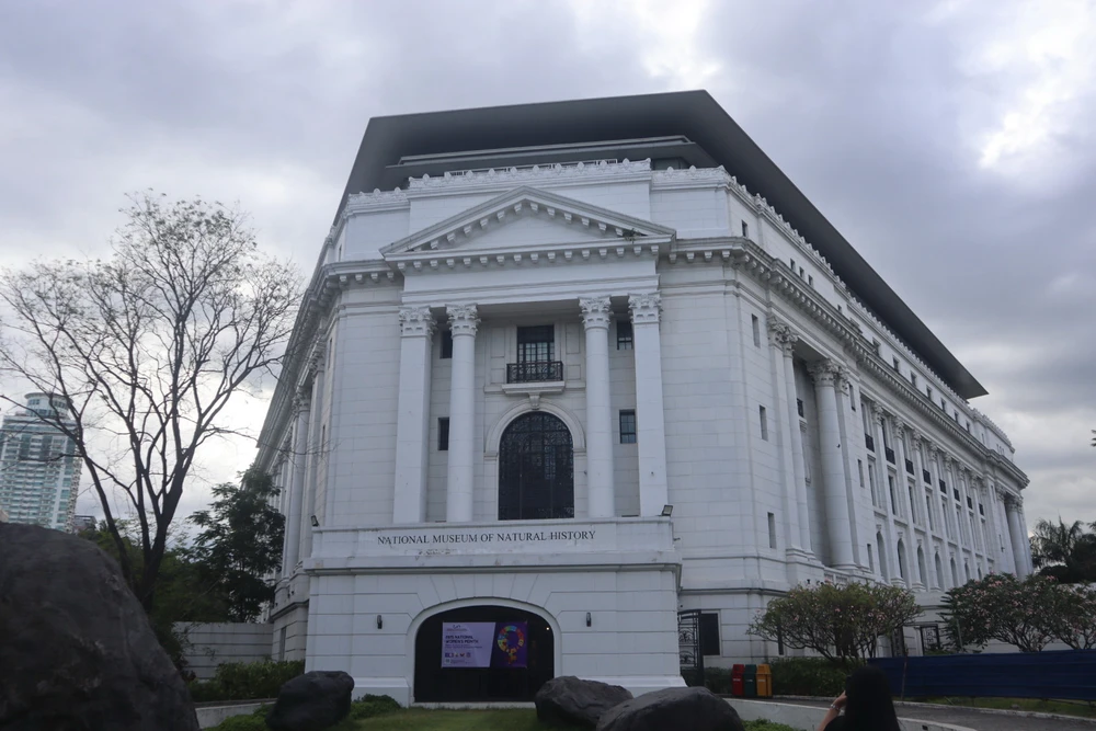 Image uploaded by Diane